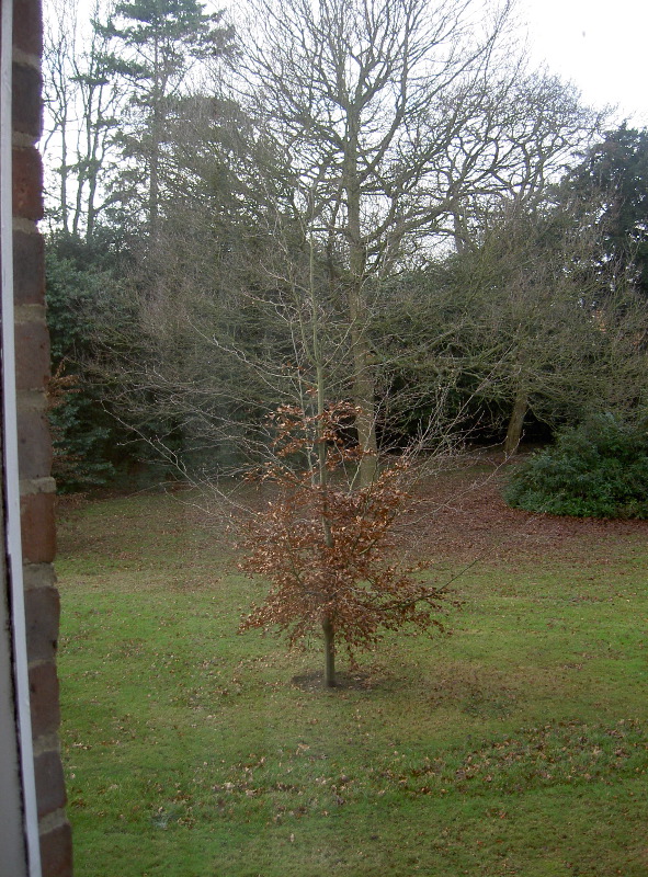 PICT3885.JPG