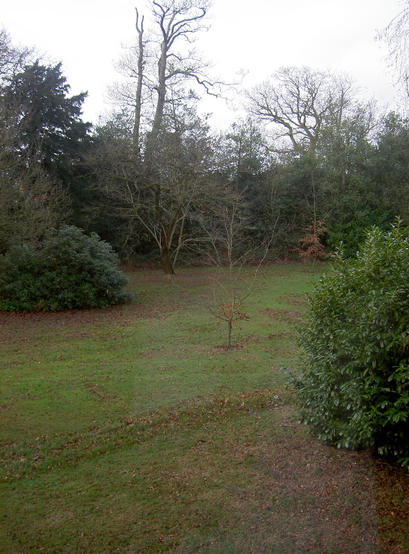 PICT3887.JPG