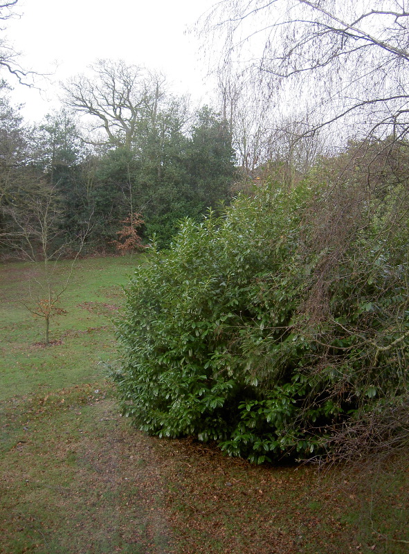 PICT3888.JPG