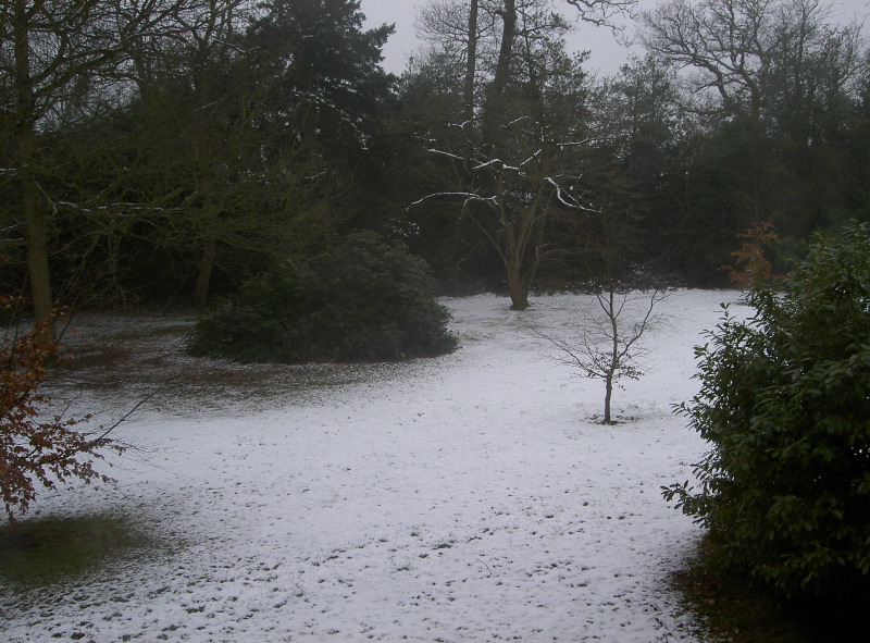 PICT3987.JPG