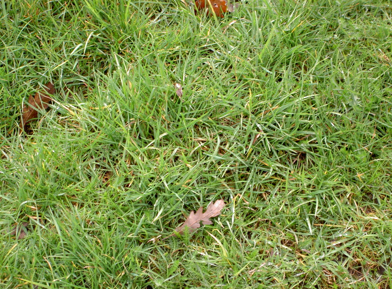 PICT4035.JPG