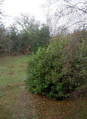 PICT3888.JPG