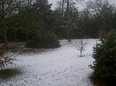 PICT3987.JPG