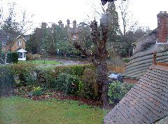 PICT3875.JPG