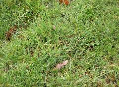 PICT4035.JPG