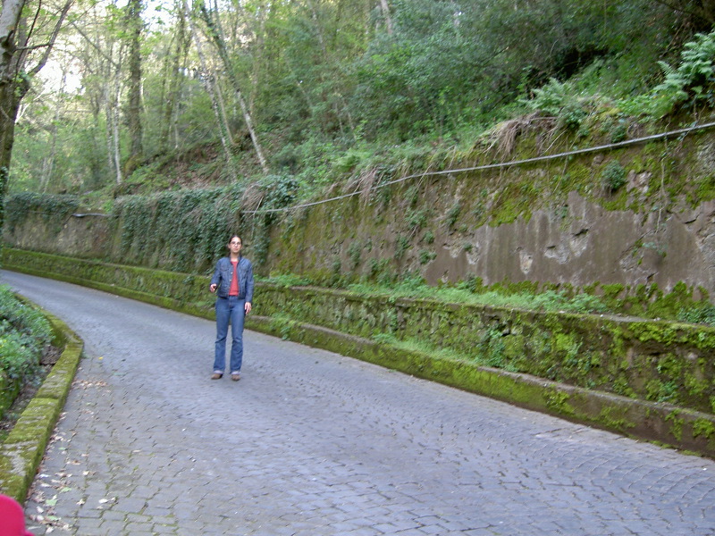 PICT4442.JPG