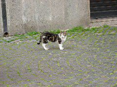 PICT4438.JPG
