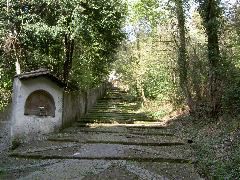 PICT4441.JPG