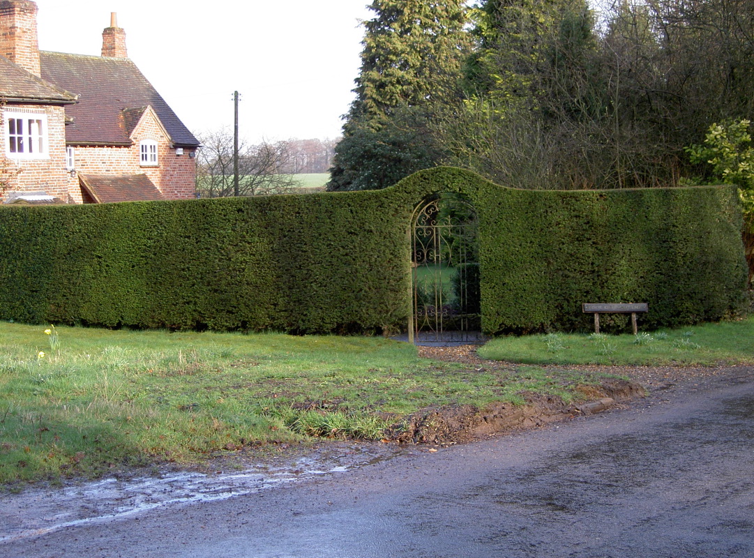 PICT4164.JPG