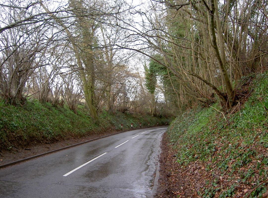 PICT4058.JPG