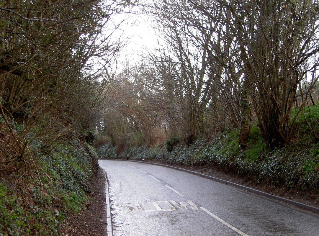 PICT4059.JPG