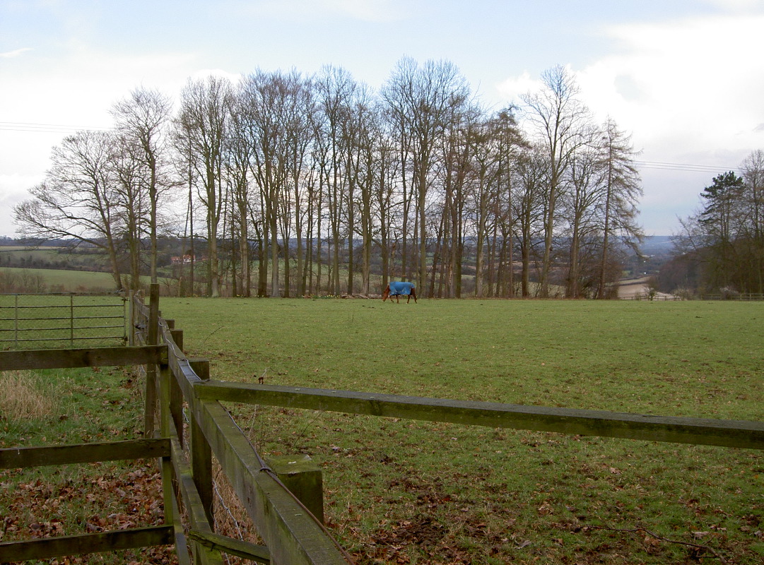 PICT4063.JPG
