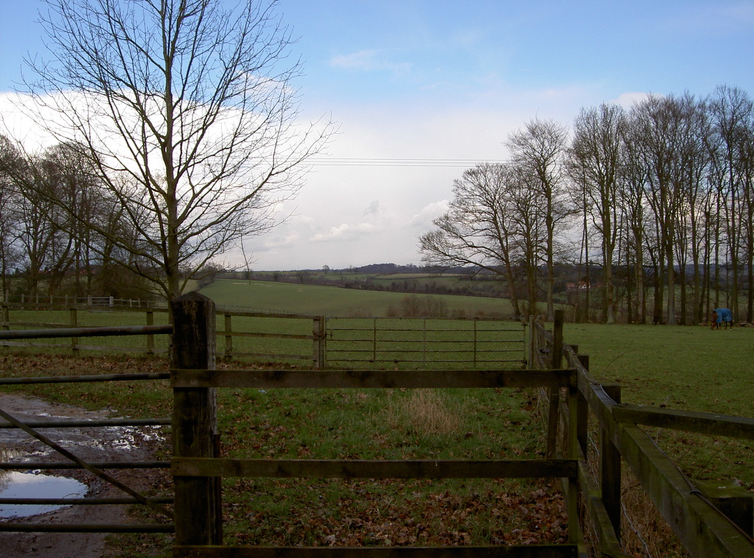 PICT4064.JPG
