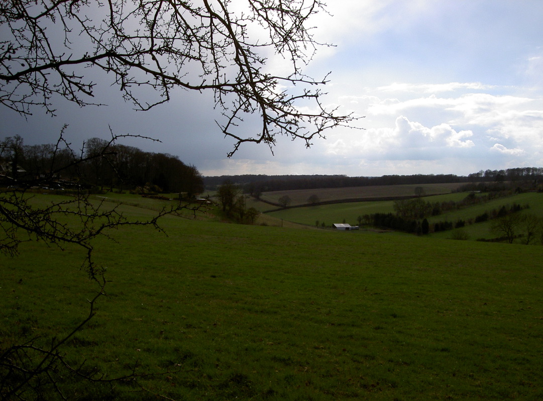 PICT4065.JPG