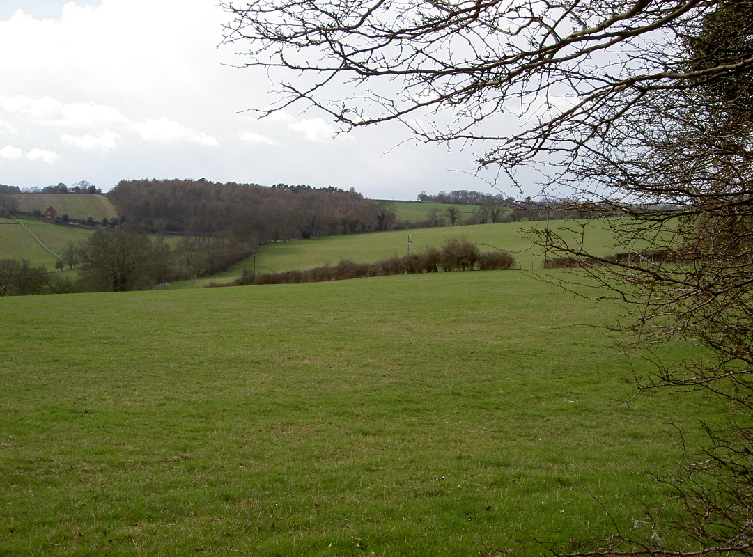 PICT4068.JPG