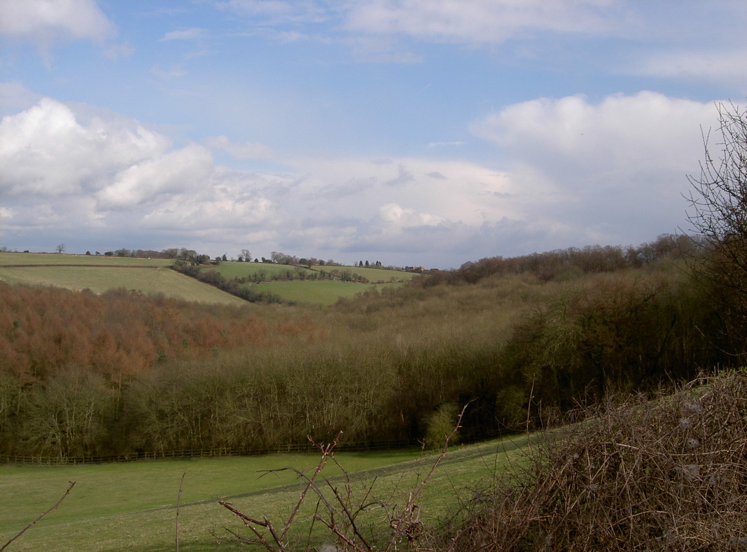 PICT4072.JPG
