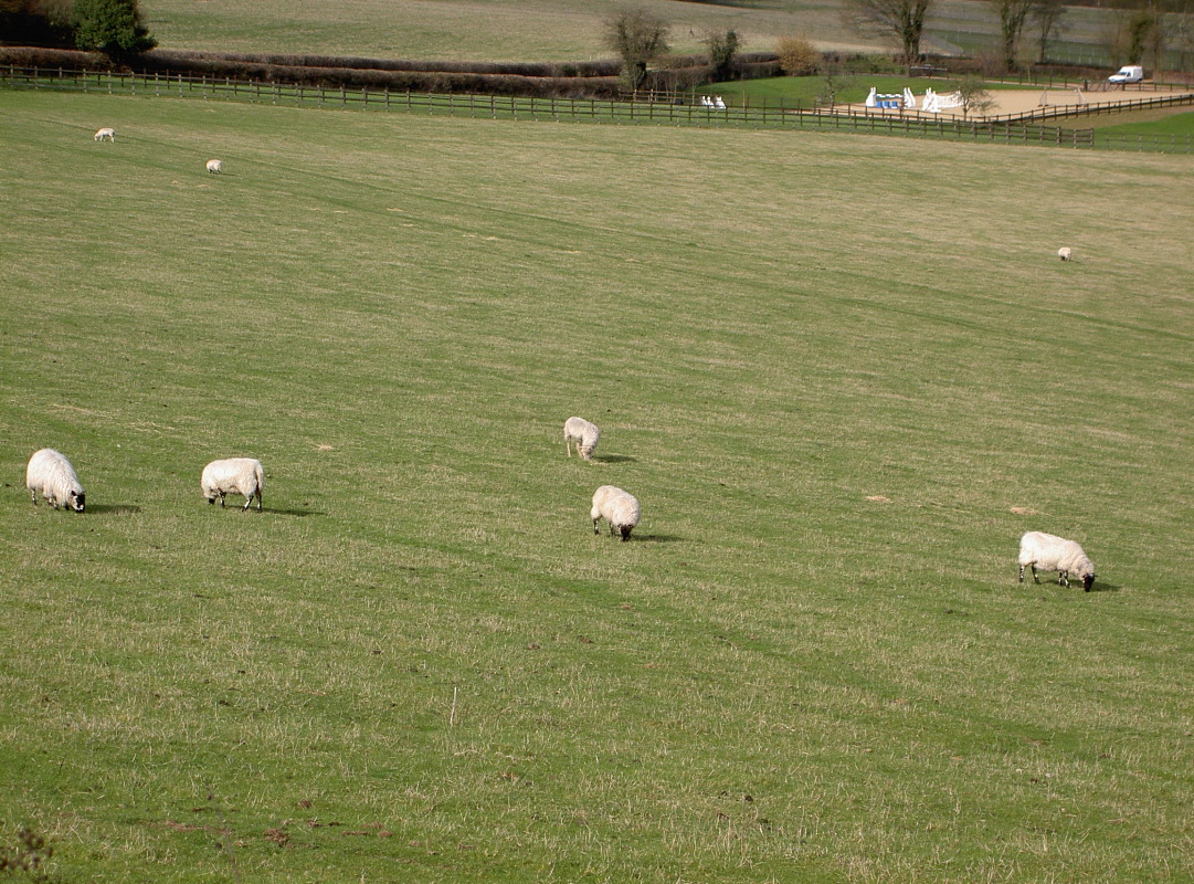 PICT4076.JPG