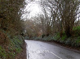 PICT4059.JPG