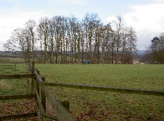 PICT4063.JPG