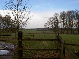 PICT4064.JPG