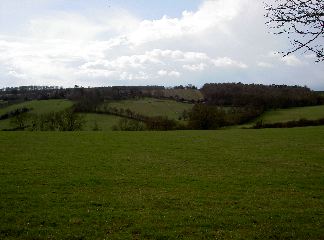 PICT4067.JPG