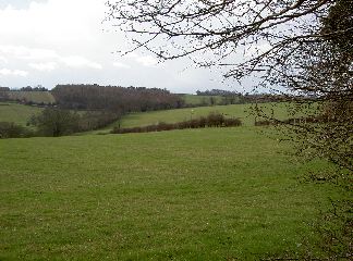 PICT4068.JPG