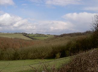 PICT4072.JPG