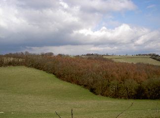PICT4073.JPG