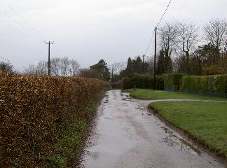 PICT4117.JPG