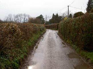 PICT4122.JPG