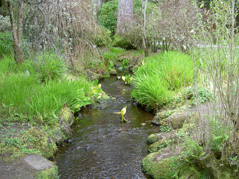 PICT4496.JPG