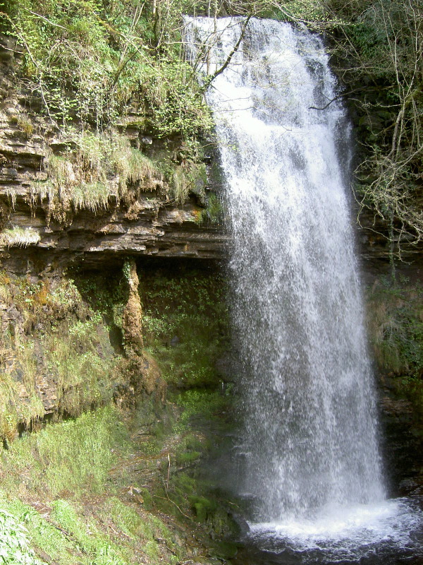 PICT4611.JPG