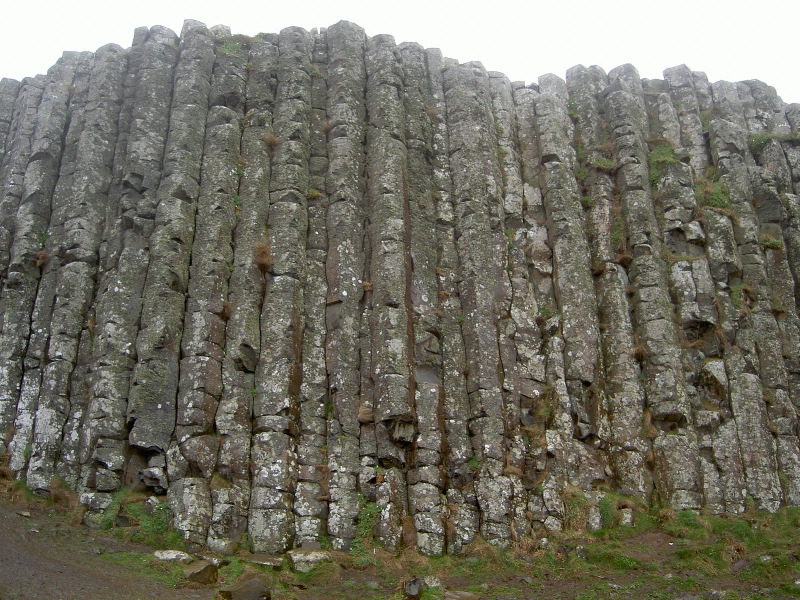 PICT4623.JPG