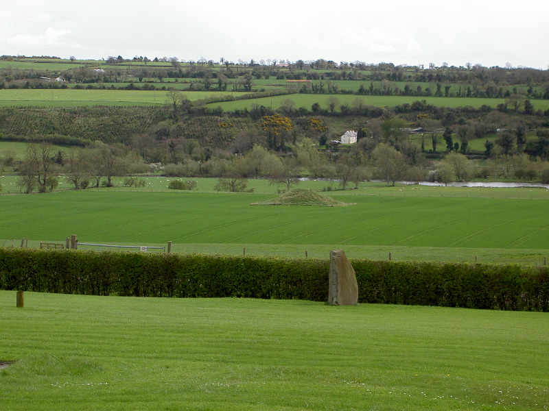 PICT4631.JPG