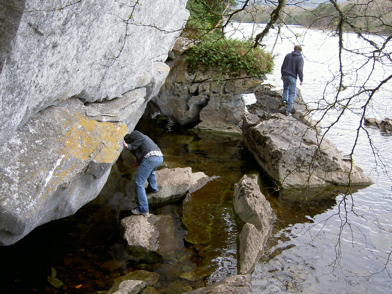 PICT4502.JPG
