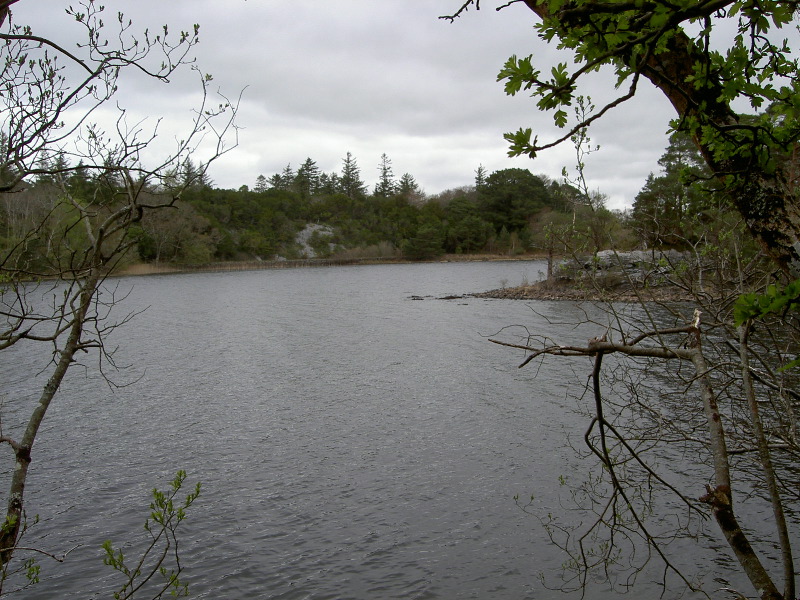 PICT4507.JPG