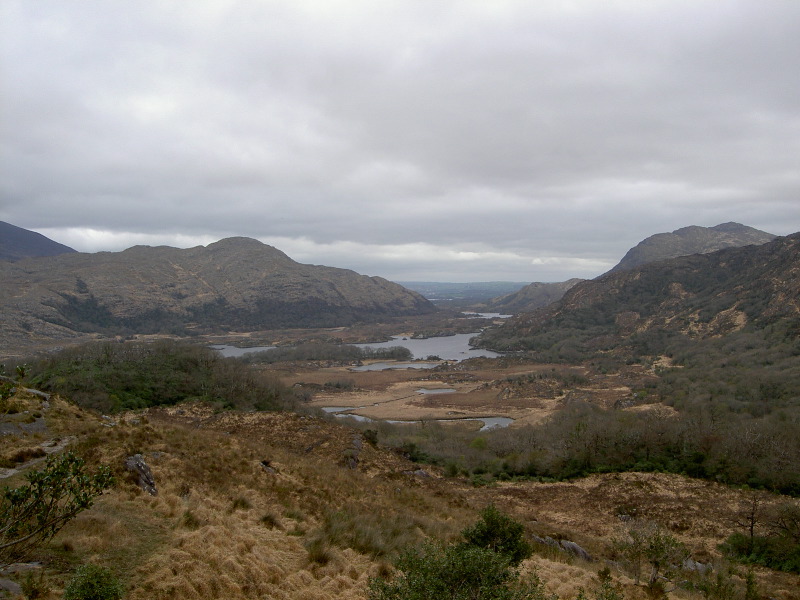 PICT4509.JPG