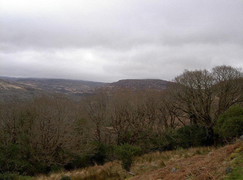 PICT4516.JPG