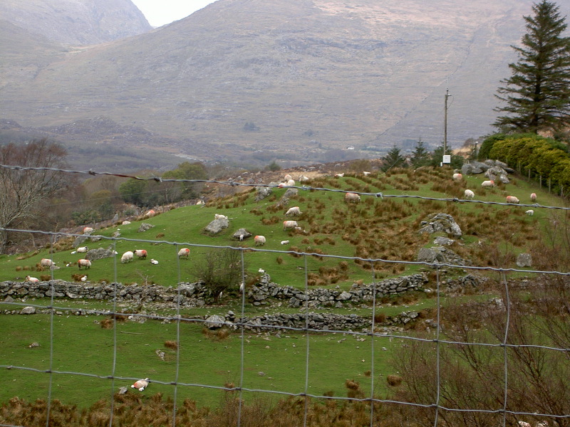 PICT4518.JPG