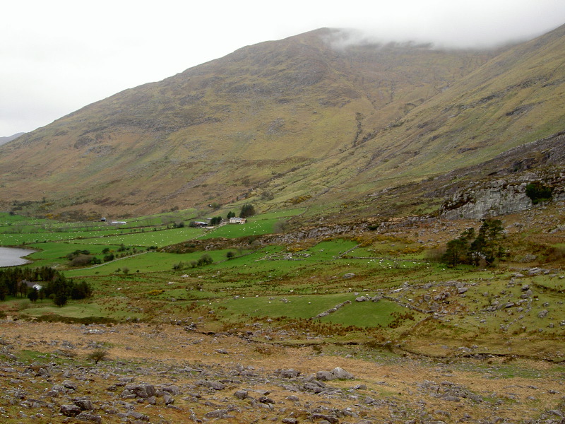 PICT4521.JPG