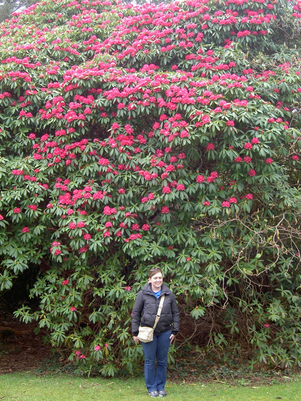 PICT4490.JPG
