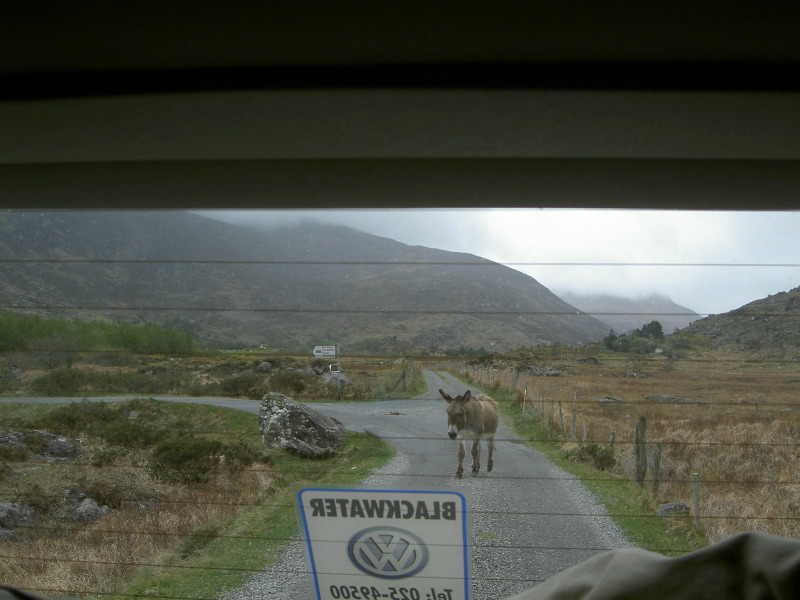 PICT4530.JPG