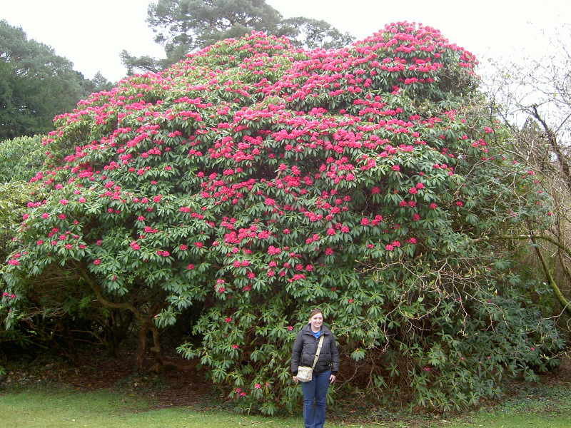PICT4491.JPG