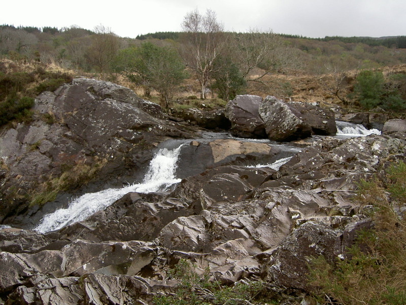PICT4539.JPG