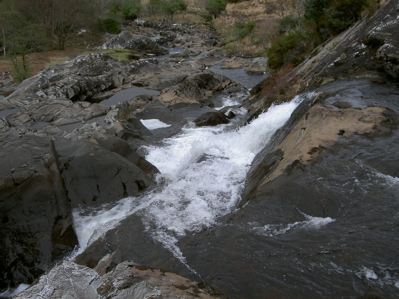 PICT4542.JPG