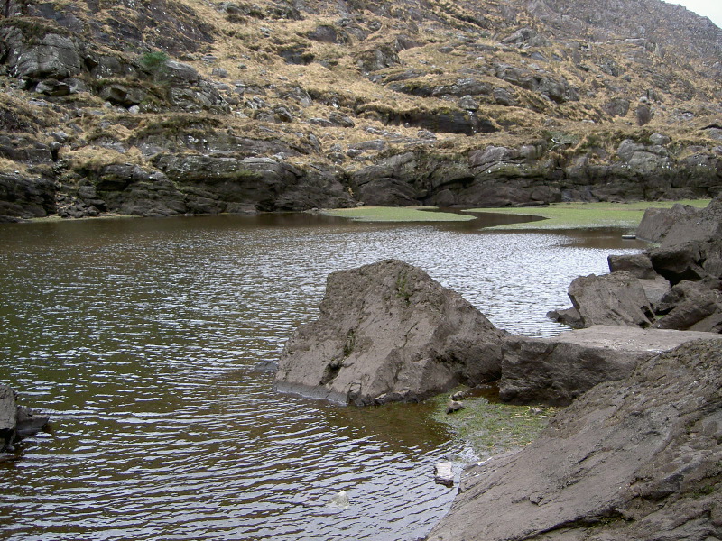 PICT4550.JPG