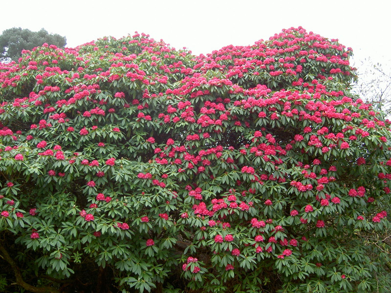 PICT4493.JPG