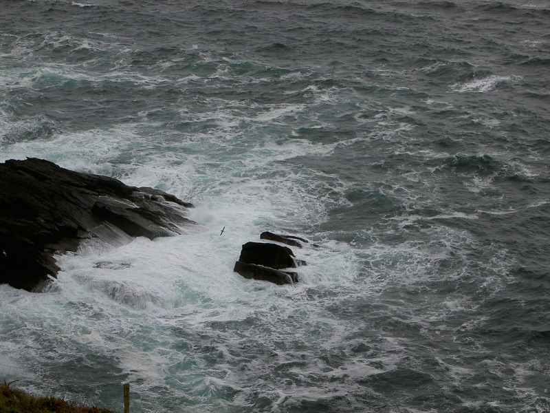 PICT4563.JPG