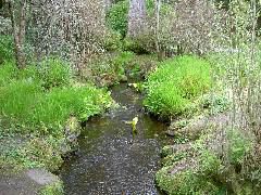 PICT4496.JPG
