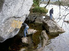 PICT4502.JPG